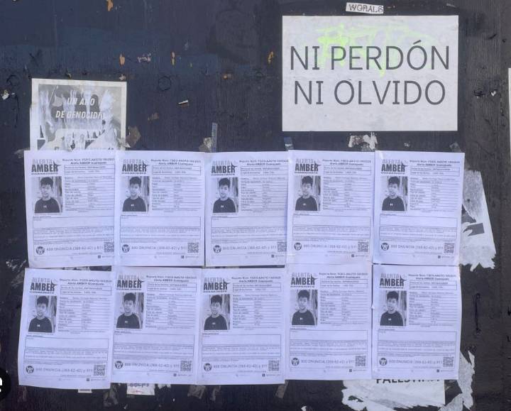 En siete años desaparecieron 647 menores en Guanajuato: alerta colectivo