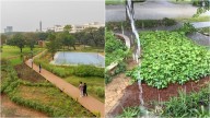 Mumbai News: BMC To Create 164 ‘Sponge Parks’ Across City To Tackle Flooding And Recharge Groundwater