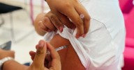 Lista de personas que deben aplicarse las vacunas de influenza, Covid y neumococo en la Temporada Invernal