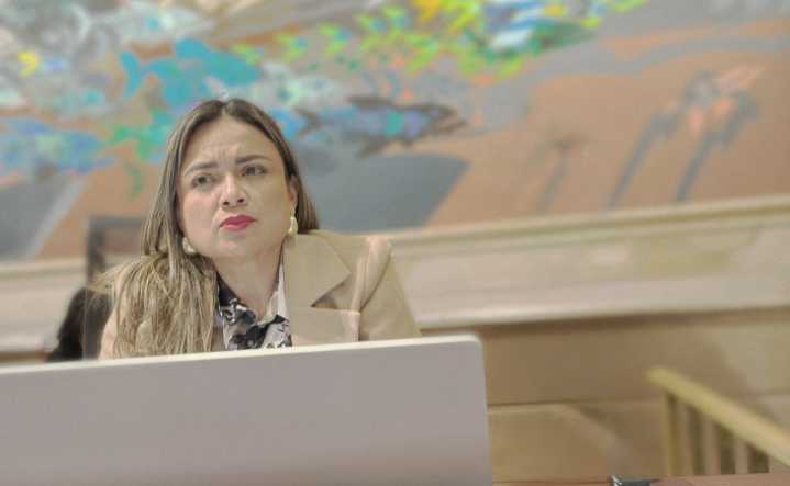 “Arauca es tierra de nadie”: Lina María Garrido denuncia crisis de seguridad