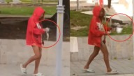 Mujer en situación de calle le arranca la cabeza a una paloma en pleno parque (IMÁGENES PERTURBADORAS)