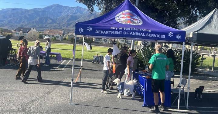 Dog owners connect at Halloween Howl
