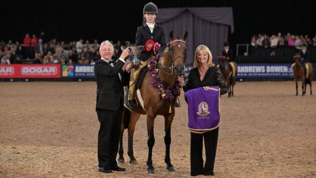 Nigel Hollings on his HOYS 2025 highlights