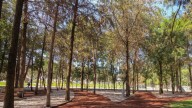 Anuncia ampliación en Flor del Bosque y aprueban Ecoparque 'Tlalli Malinche'; esto sabemos