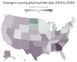 Youth suicide rates are rising almost nationwide