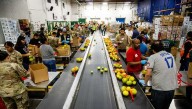 States race to fund SNAP benefits during shutdown