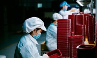 Recuperación del empleo en Colombia: cae el desempleo