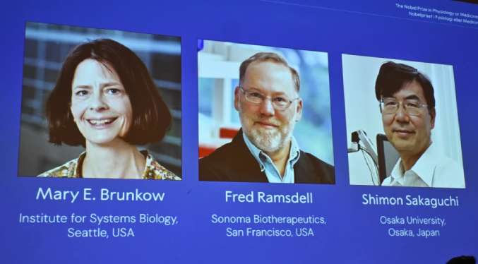 Nobel de Medicina 2025 para Sakaguchi, Brunkow y Ramsdell por sus hallazgos sobre el sistema inmunológico