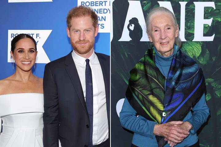 Prince Harry and Meghan Markle Pay Tribute to Jane Goodall After Her Death at 91