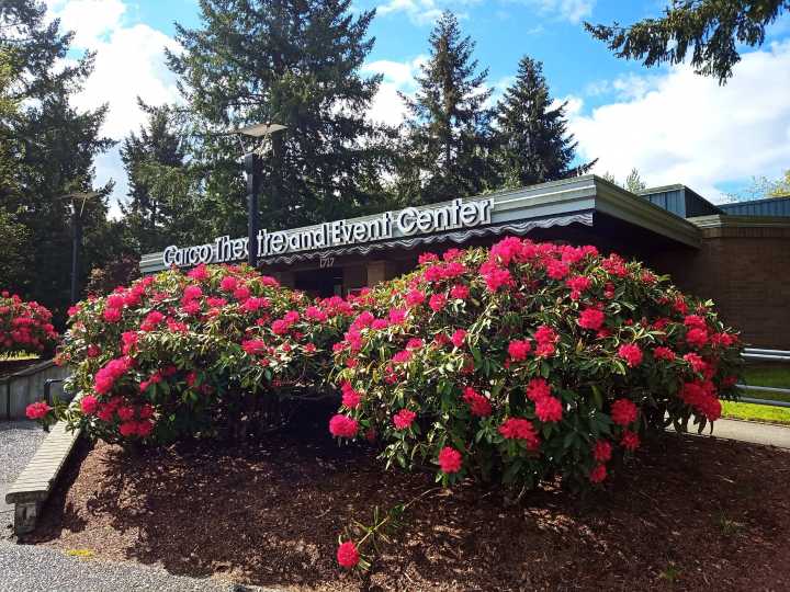 North Renton Neighborhood Association hosts candidate forum