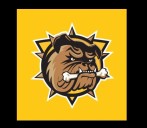 Brantford Bulldogs win eighth straight game