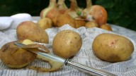 India’s Exports of Processed Potato Products Surge Multi