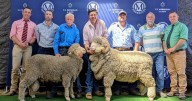 Merrignee ram sale 2025 sale results top price averages