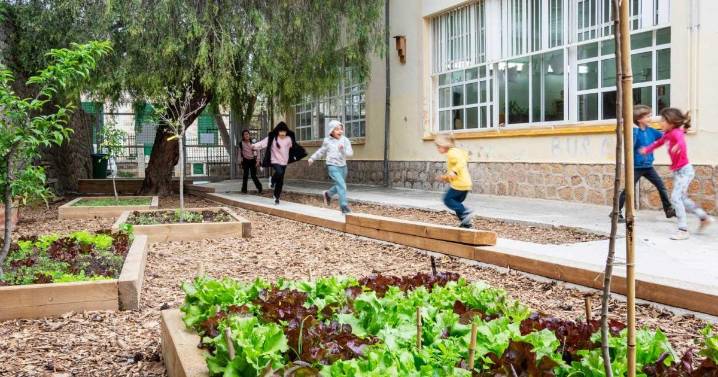 La política balear ignora la demanda social de reverdecer los patios escolares