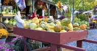 Exploring the many flavors of Winter Squash