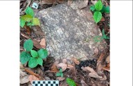 Un antiguo artefacto romano perdido reaparece en un patio de Nueva Orleans