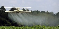 Central Texas rancher files suit against crop dusting company after he lost 21 acres of hay