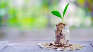 Park surplus funds in NPS Tier 2 for higher returns