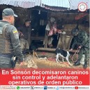 En Sonsón decomisaron caninos sin control y adelantaron operativos de orden público