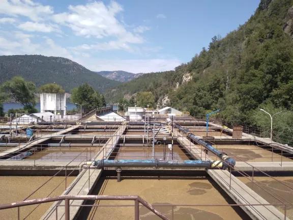 Clausuraron preventivamente el acceso al agua en el Lago Lácar por una rotura en la planta de efluentes