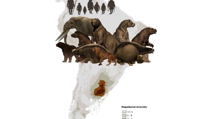 Los gigantes de Pleistoceno se extinguieron por los humanos