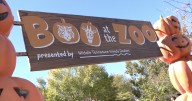 Boo at the Zoo returns to Nashville Zoo for Halloween festivities
