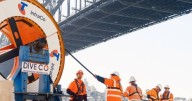 From gigabits to terabits: fibre to fire up downloads