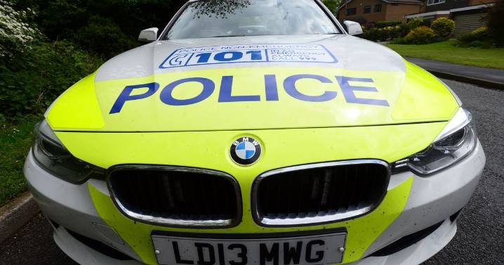 Calculating rapist targeted victim in nightclub before savage attack