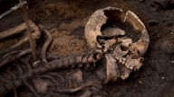 Scientists are one step closer to testing ancient skeletons for pregnancy