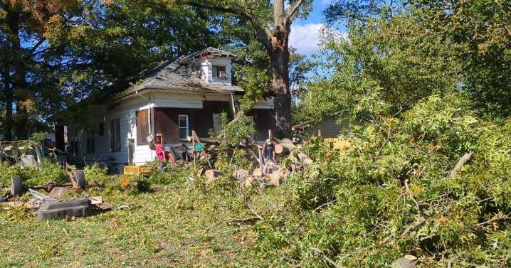 Storms knock out power, damage trees across southern Illinois