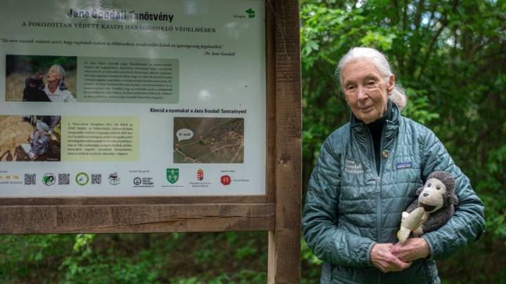 Fallece la científica Jane Goodall en California; hace cuatro días ofreció un mensaje de esperanza en México