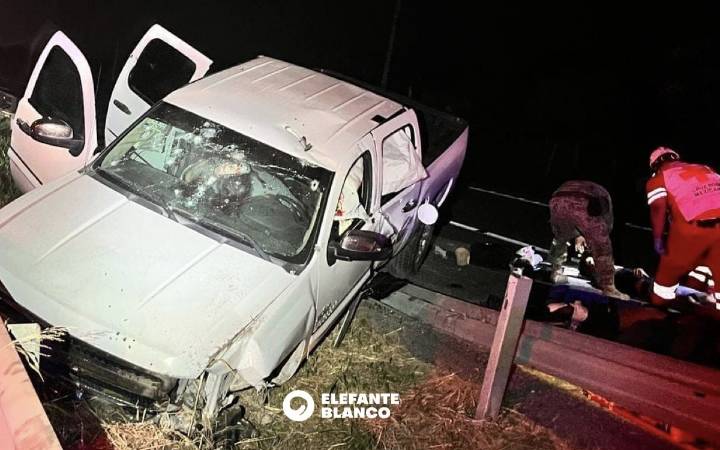 Soldados matan a seis jornaleros en Tamaulipas: Elefante Blanco