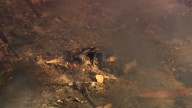 Varios muertos en una fábrica de material militar de Tennessee (EEUU) tras una explosión