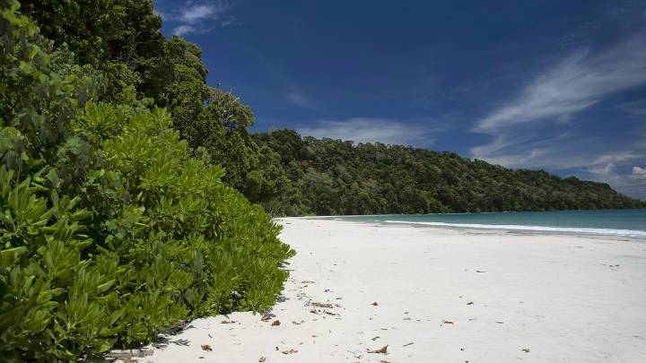 Great Nicobar revives the issue of nature’s legal rights