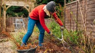 Prep your garden for winter with these must