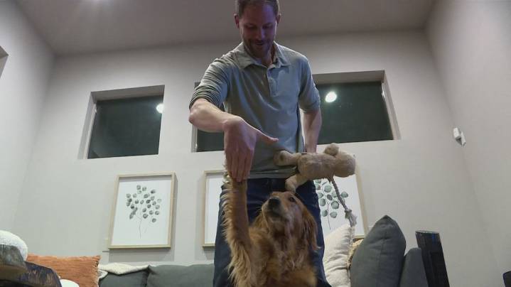 Dog climbs 47 Colorado 14ers with his owner, blazing a trail of memories