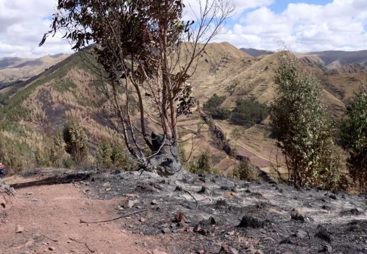 Lluvia permitió controlar incendio forestal en el Valle Sagrado de Los Incas