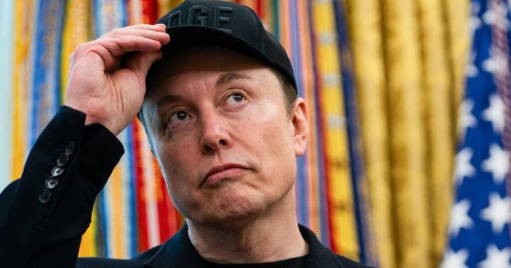 Elon Musk lanzó Grokipedia: qué es y cómo funciona