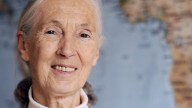 Jane Goodall, legendary primatologist, has died at age 91