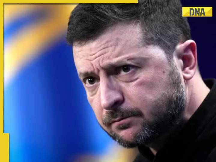 Ukraine's Zelenskyy compares Putin with Hamas: 'Something similar but...'