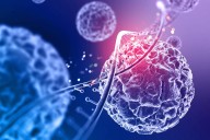 Epigenética: la ciencia que te permite encender o apagar tus genes según tu estilo de vida