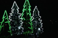 Belleville’s Festival of Lights opens Nov. 14 at Jane Forrester Park