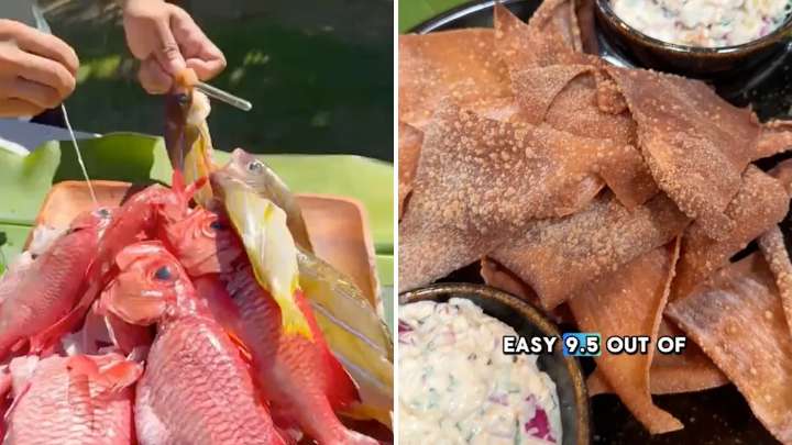 ‘Uno de los peces de mejor sabor que existe’