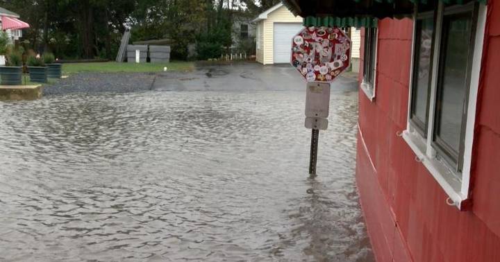 Bowers Beach takes its latest round of flooding in stride