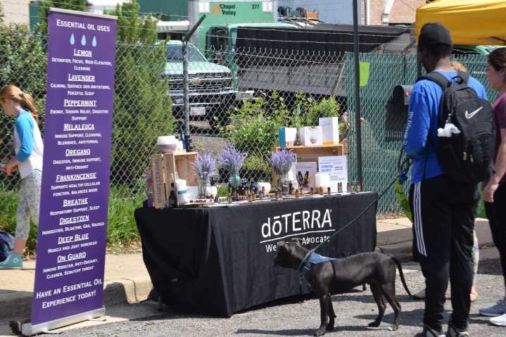 You’ll Laugh, You’ll Cry with the Families of Freemont Ave. at Arena Stage