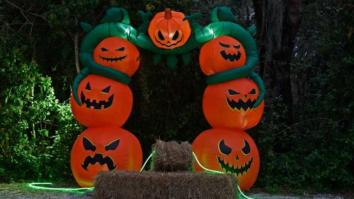Top Halloween events in Sarasota, Bradenton, Venice, Port Charlotte