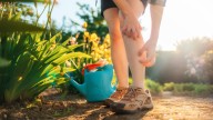 The Handy Tool Gardeners May Want To Keep On Hand For Nasty Bites & Stings