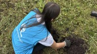 Cundinamarca y Corporinoquia lanzan ‘Siembra Comunal: Agua y Vida’ para promover la adaptación climática