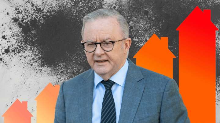 Prime Minister Anthony Albanese concedes first-home buyer scheme will makes houses more expensive