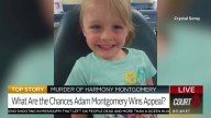 Will Adam Montgomery Be Successful In His Appeal?